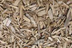 biomass boilers Pitses